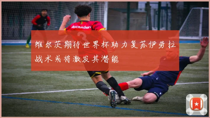 维尔茨期待世界杯助力复苏伊劳拉战术或将激发其潜能
