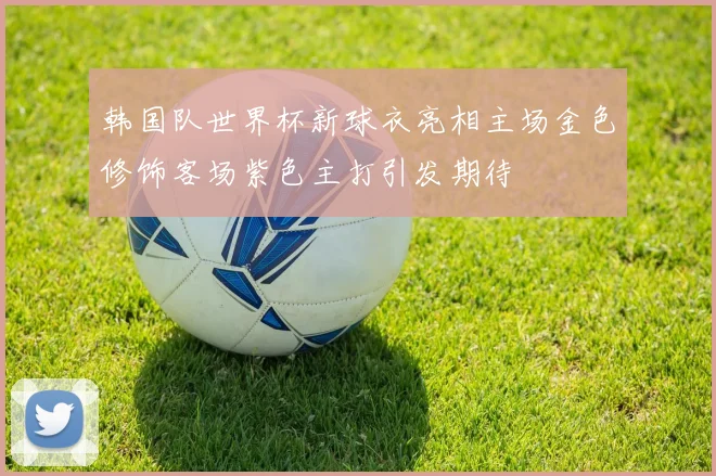 韩国队世界杯新球衣亮相主场金色修饰客场紫色主打引发期待
