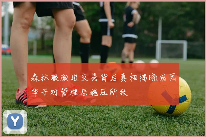 森林狼激进交易背后真相揭晓或因华子对管理层施压所致